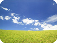 Environmental friendly product reducing CO2