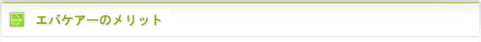 エバケアーのメリット